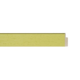ENCADREMENT ( SANS VERRE ) "FOURMI" VERT CLAIR (SECTION CADRE : 20-13 (L X H mm)) Eurobaguette 1 - Colorart 