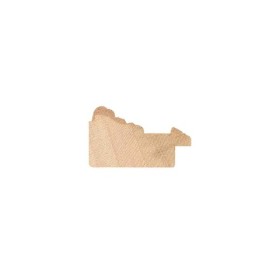 ENCADREMENT ( SANS VERRE ) BAGUETTE ORNE DORE (SECTION CADRE : 45-27 (L X H mm)) Eurobaguette 2 - Colorart 